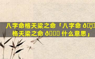 八字命格天梁之命「八字命 🦄 格天梁之命 💐 什么意思」